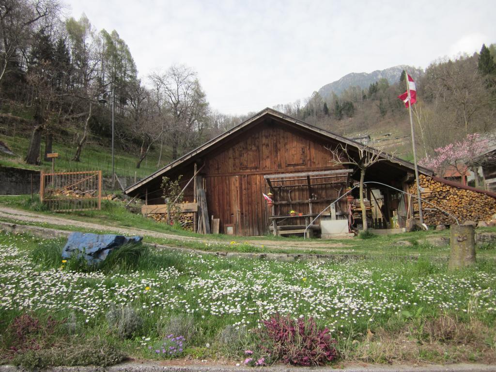 B&B Al Larice Strigno Luaran gambar